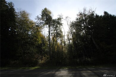 0 Benson Rd, Point Roberts, WA 98281 - photo 4