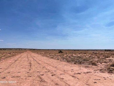 8191 E Concho Highway, Snowflake