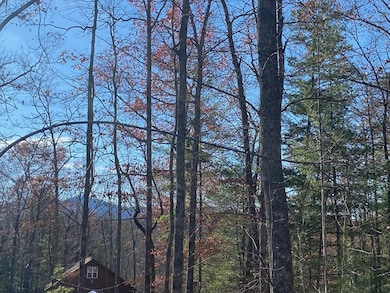 View to the side