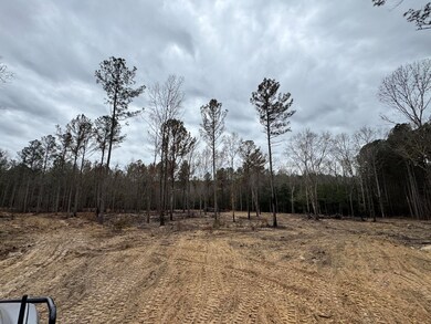 3479 Bastonville Rd, Gibson, GA 30810 - photo 7