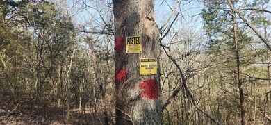 99 Huffman Rd, Harrodsburg, KY 40330 - photo 5