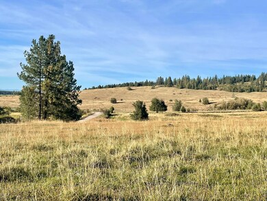 Nhn Mckeever Rd, Saint Ignatius, MT 59865 - photo 7