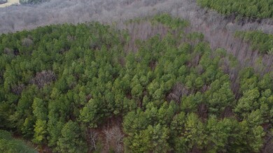 2.3 acre Sunset Rd, Spencer, TN 38585 - photo 6