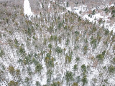 DJI_0954