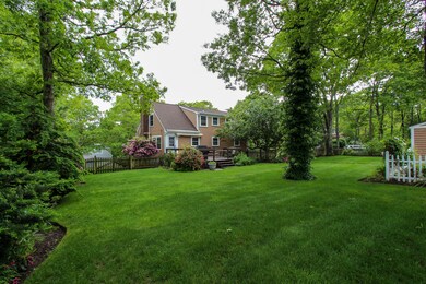 Fenced Back Yard