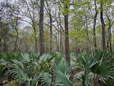 0000 Rd, Conroe, TX 77302 - photo 7