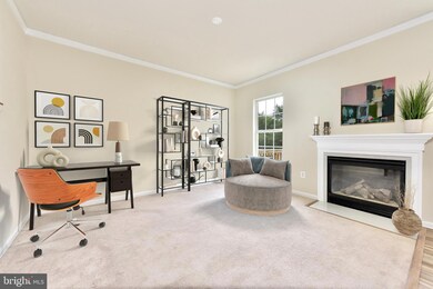 42825 Shaler St, Chantilly, VA 20152 - photo 7