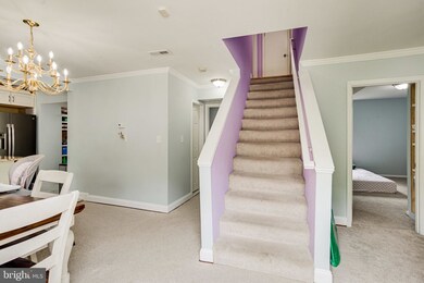 7729 Emerson Rd, Hyattsville, MD 20784 - photo 4