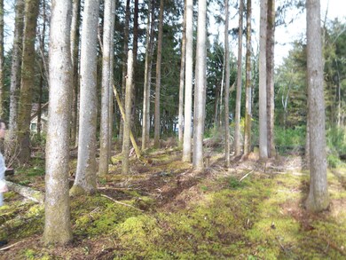 TL 3200 SE Oar Dr, Lincoln City, OR 97367 - photo 3