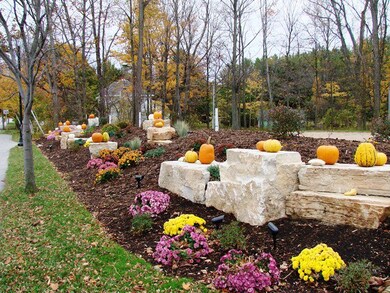 Fall