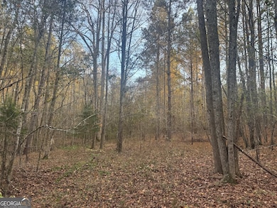 0 Ga Highway 34 unit 10652639, Franklin, GA 30217 - photo 2