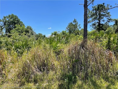 5526 Castania Dr, Sebring, FL 33872 - photo 2