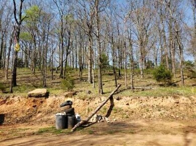 15562 Low Gap Rd, West Fork, AR 72774 - photo 5