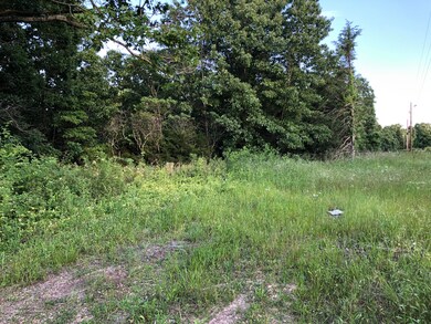 29751 State Highway 248, Jenkins, MO 65605 - photo 3