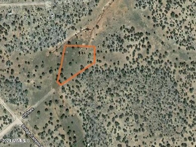 32018 W Calle Ines Pkwy, Seligman, AZ 86337 - photo 5