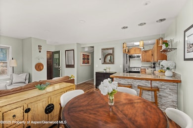 106 Swinging Bridge Ln unit B, Basalt, CO 81621 - photo 4