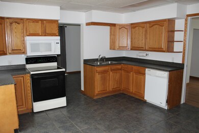 Kitchen Sink and Dishwasher