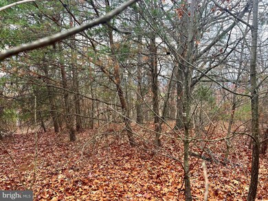 158 Eastern Dr, Moorefield, WV 26836 - photo 6