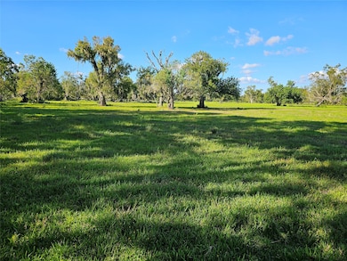 0 Cr-506 unit 88472236, Brazoria, TX 77422 - photo 5