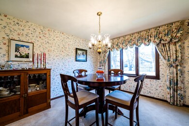 Tanbark-304
