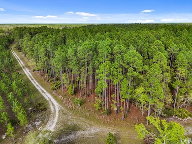 00 SE 51st Way, Trenton, FL 32693 - photo 3