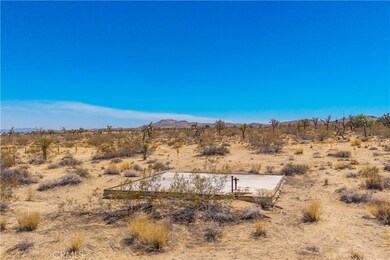 0 Stearman Rd unit JT25178582, Landers, CA 92285 - photo 4