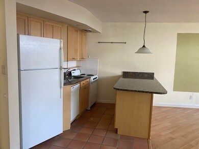 516 Green St unit 2B, Cambridge, MA 02139 - photo 2