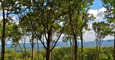 unlisted-address, Egremont, MA 12529 - photo 2