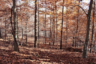 0 Ky 828 Lot unit Wp002, Webbville, KY 41180 - photo 7