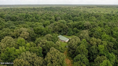 247 Sandy Branch Rd, Sarah, MS 38665 - photo 3