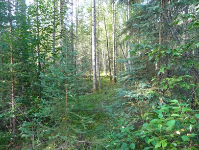 P1060050