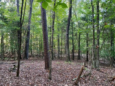 TBD County Road 415, Oxford, MS 38655 - photo 4