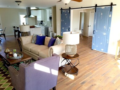 Barn door view living room