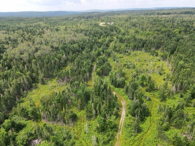 dji_fly_20240718_120256_997_172132081371