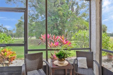 screened rear lanai with a beautiful view
