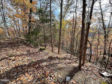 Lot 34R Sugar Mountain Way, Pigeon Forge, TN 37863 - photo 4