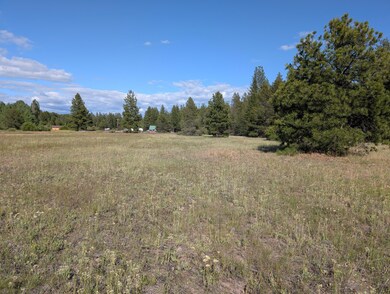 PXL_20250623_002039463