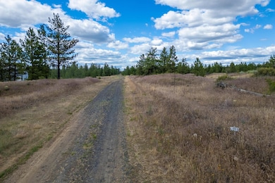 Lot 5 Prairie Ln N, Creston, WA 99117 - photo 3