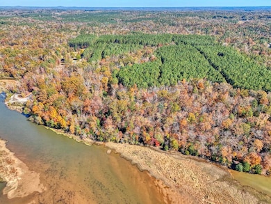 1073 Boyds Mill Pond Rd, Laurens, SC 29360 - photo 4