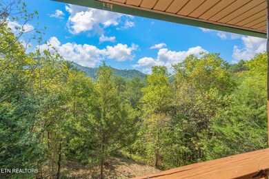 1723 Springer Rd, Sevierville, TN 37862 - photo 6