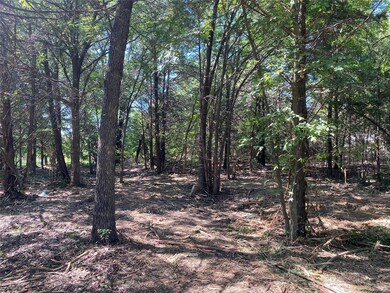 lot 5 Pua Loko Ln, Sadler, TX 76264 - photo 2