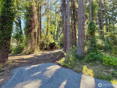 0 Lot 2 Enchanted Forest Rd, Orcas Island, WA 98245 - photo 7