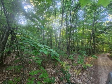 V/L Whitmire Rd, Cedar Creek Township, MI 49457 - photo 6