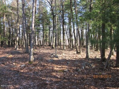 50 Song Mtn Dr, Tafton, PA 18464 - photo 6