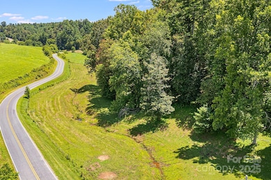 TBD Don Felmet Rd, Marshall, NC 28753 - photo 6