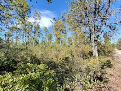 0 SW Prine Rd unit 19597163, Lee, FL 32059 - photo 7