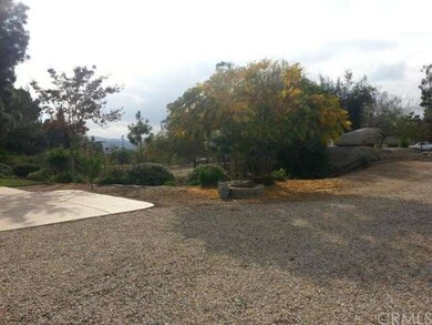 More of the yard.