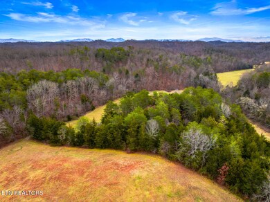 Lot 2 Lonesome Pine Rd, Bybee, TN 37713 - photo 4