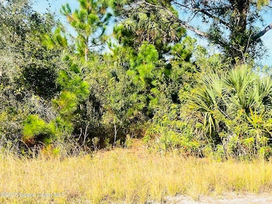 0000 Anjar Ave, Palm Bay, FL 32908 - photo 3