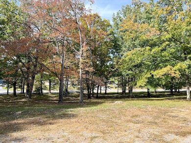 1949 Sunnymeade Rd, Rustburg, VA 24588 - photo 5